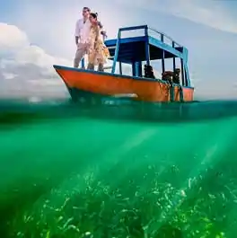 destination wedding in India