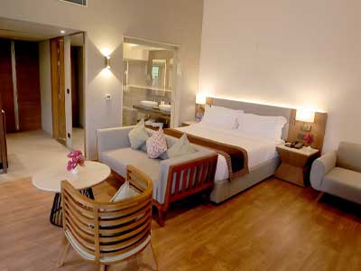 destination wedding in jim corbett